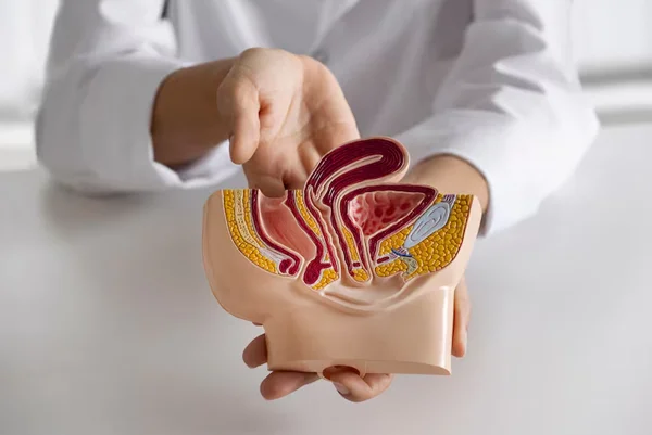 Glomerulonephritis