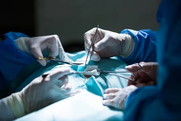 Kidney Transplant